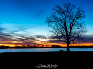 Blue Hour Bench